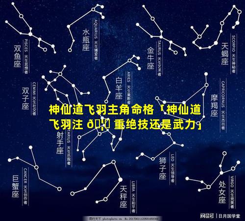 神仙道飞羽主角命格「神仙道飞羽注 🦄 重绝技还是武力」